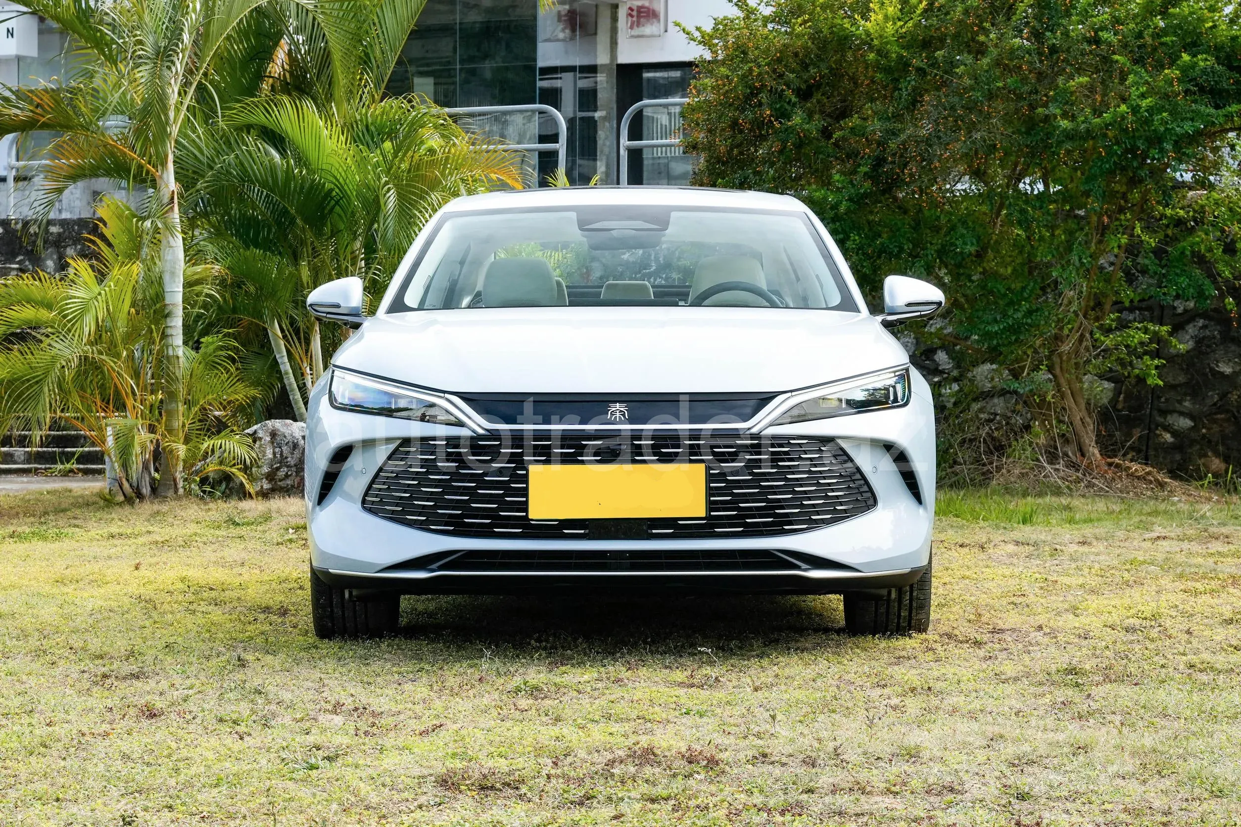 BYD Qin L image